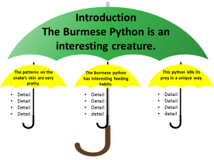 topic sentence umbrellas python example