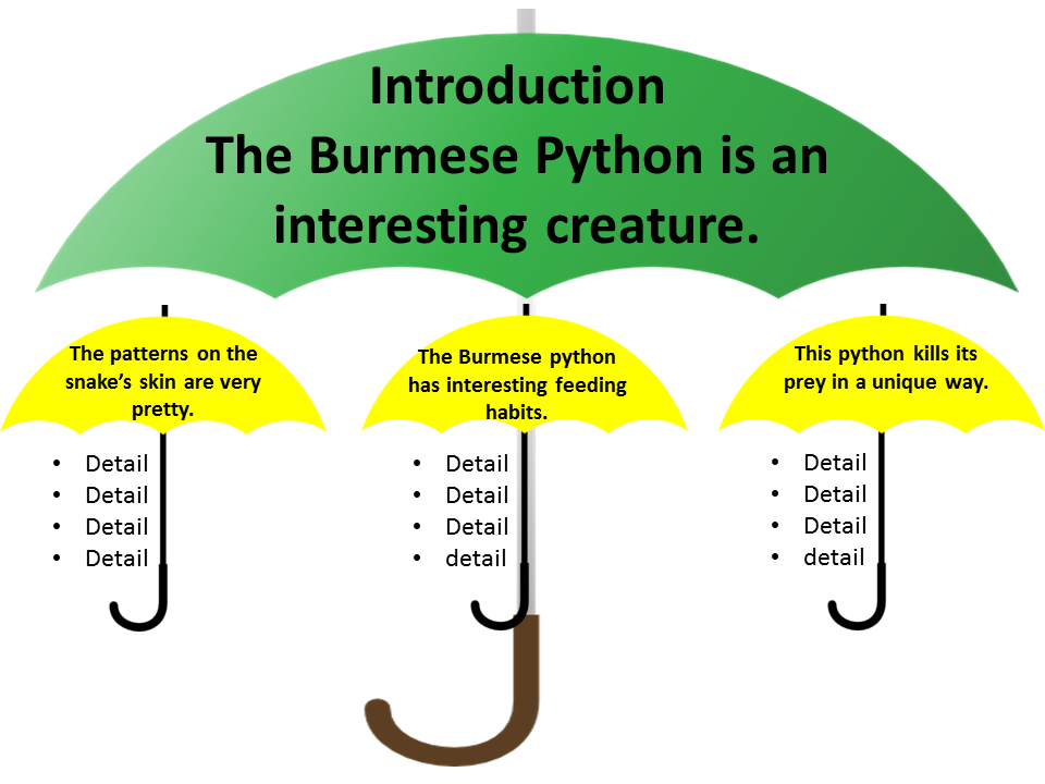 Topic Sentence Umbrellas Python Example Teacher Written Lesson Plans